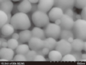 AuRoFUSE for low-temperature baked paste for Au-Au Bonding